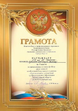 Соревнования по мини-футболу среди юношей в рамках Областной спартакиады студентов. Грамота за 1 место.